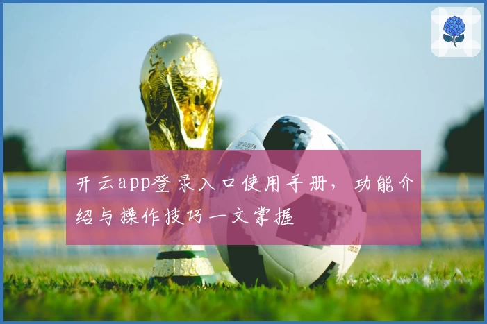 开云app登录入口使用手册，功能介绍与操作技巧一文掌握